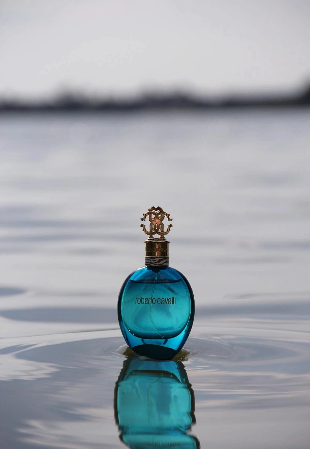 Roberto Cavalli Acqua