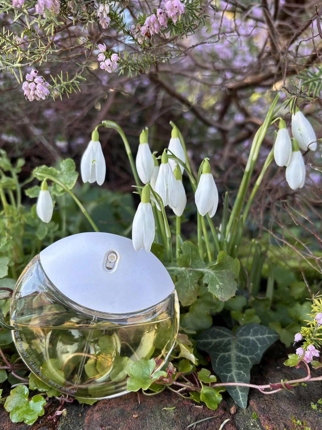 Issey Miyake A Drop d'Issey