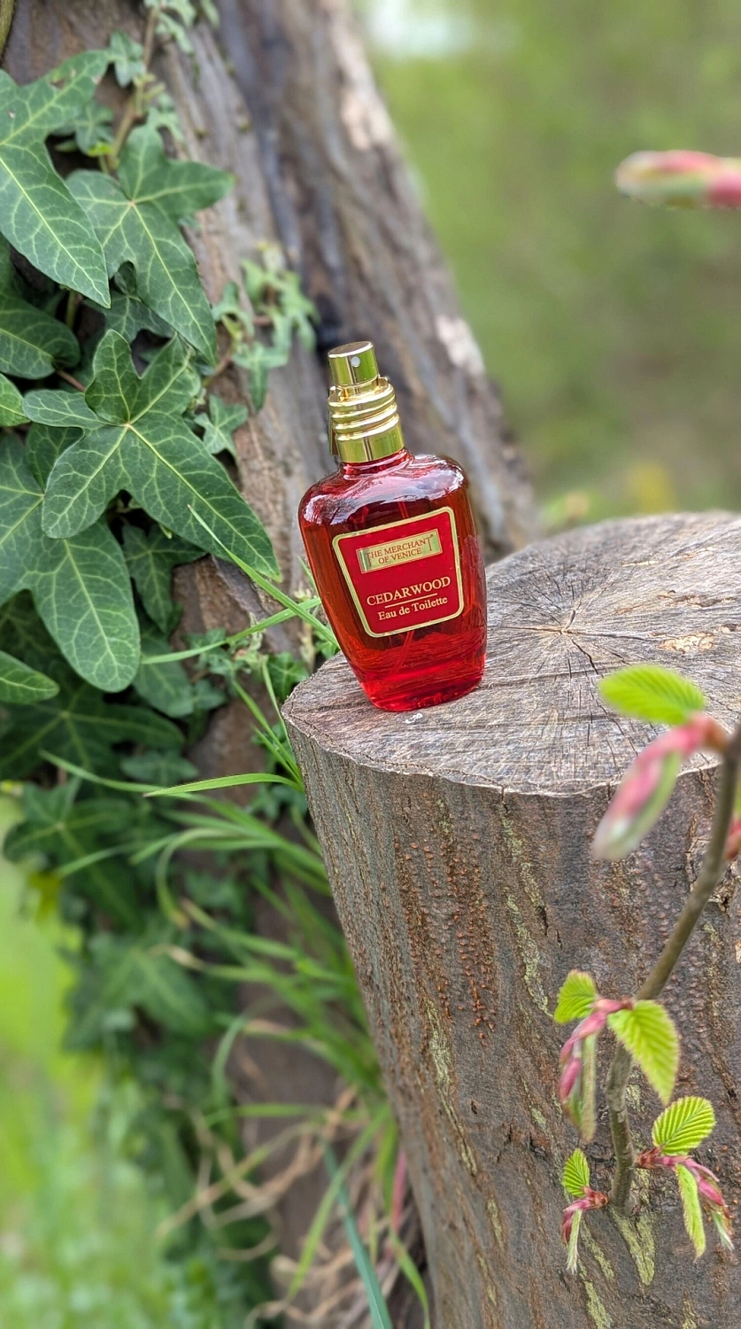 The Merchant of Venice Cedarwood