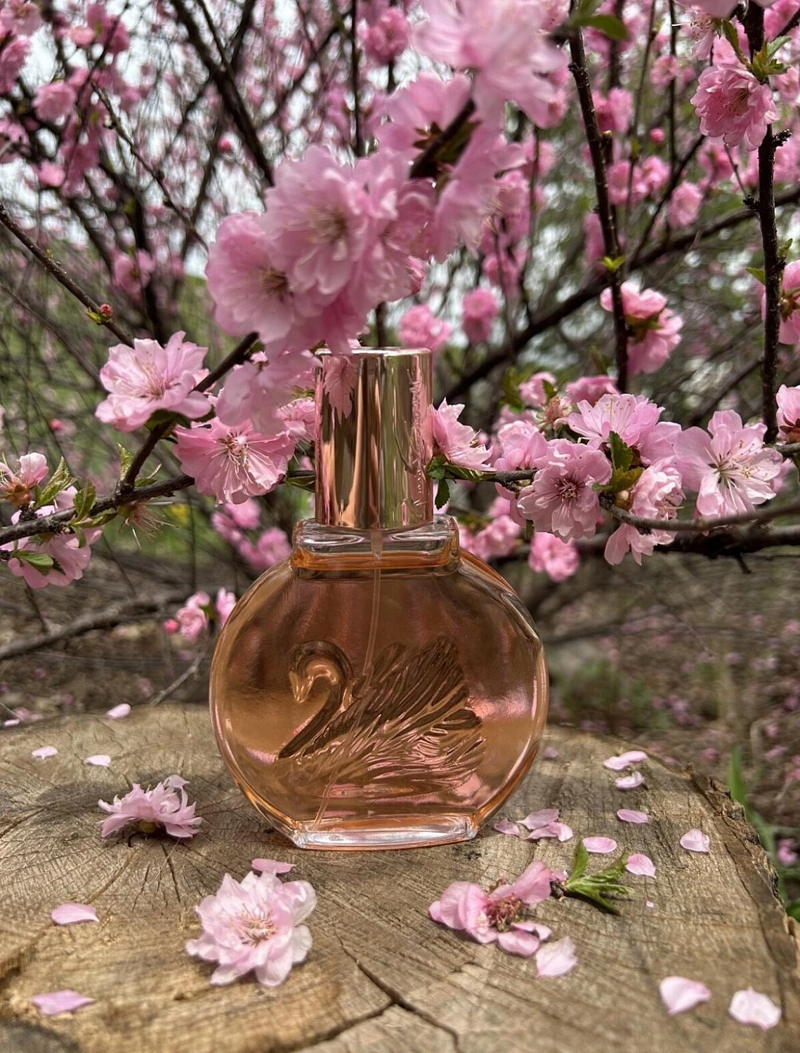 Gloria Vanderbilt Miss Vanderbilt