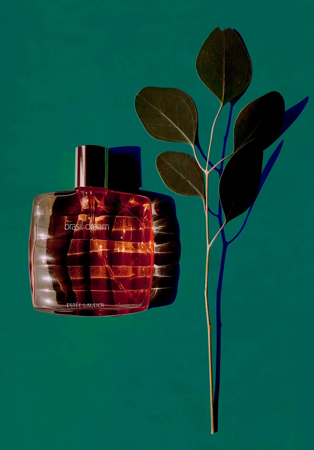 Estee Lauder Brasil Dream