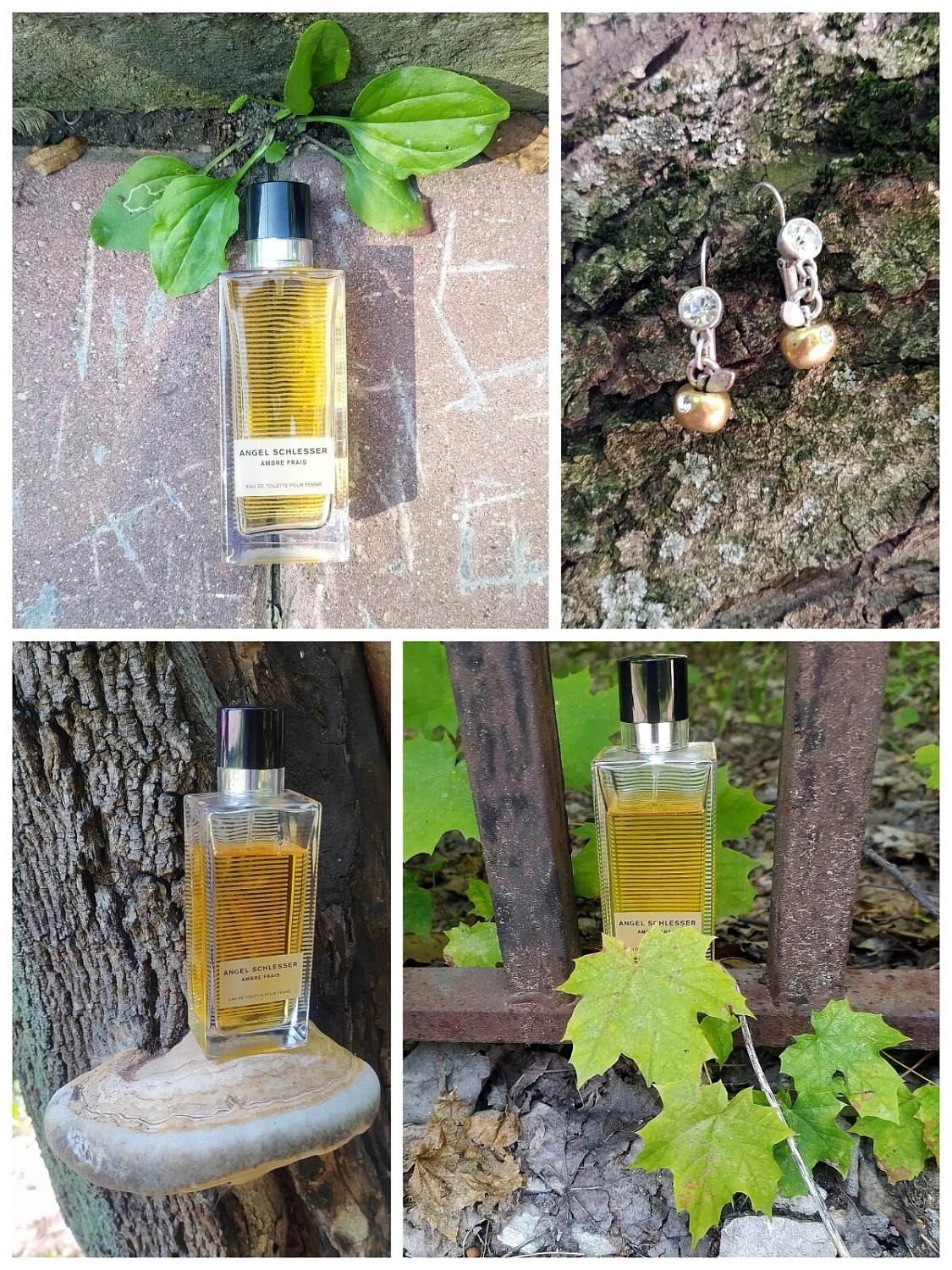 Angel Schlesser Ambre Frais