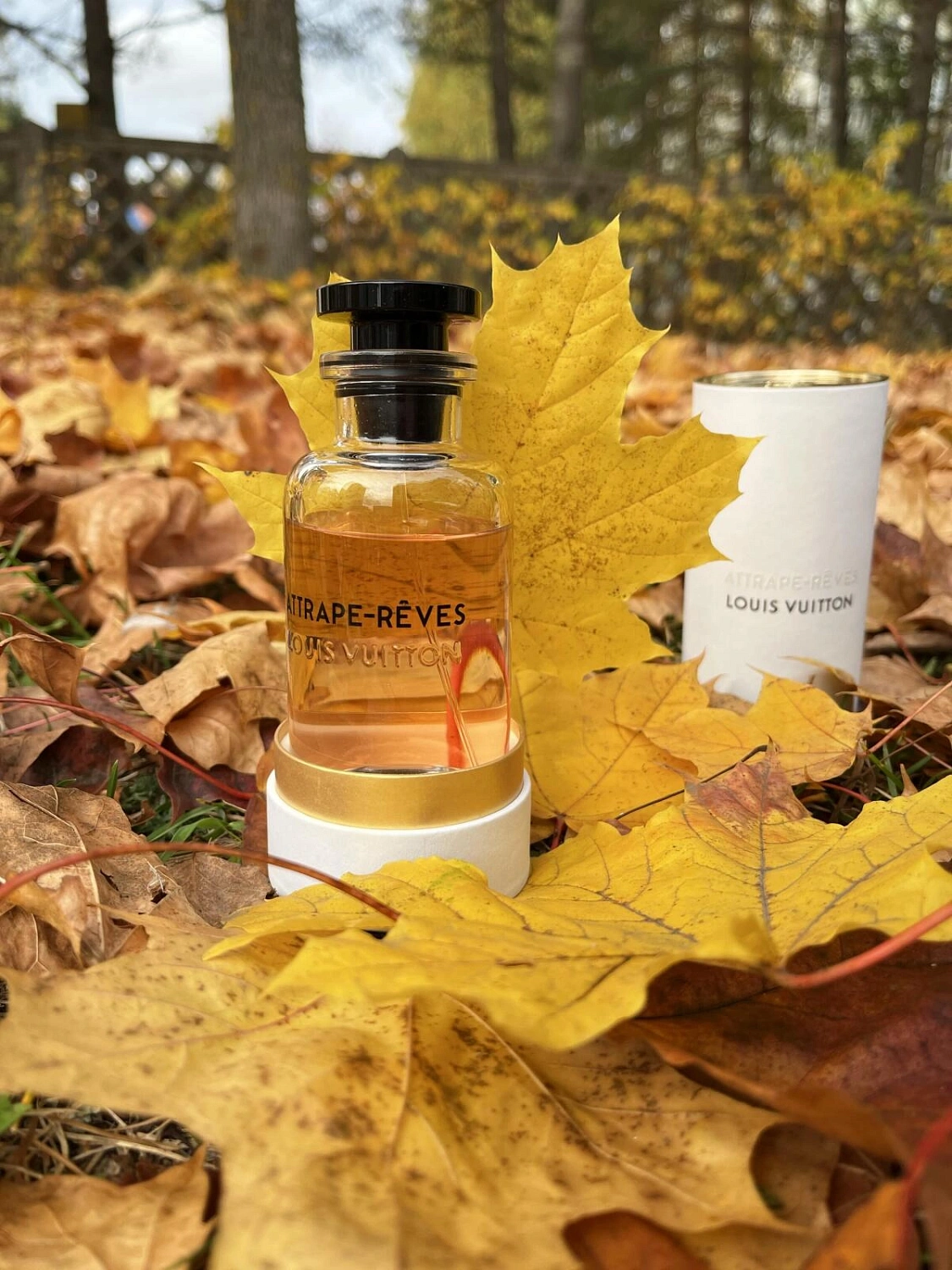 Louis Vuitton Attrape-Rêves