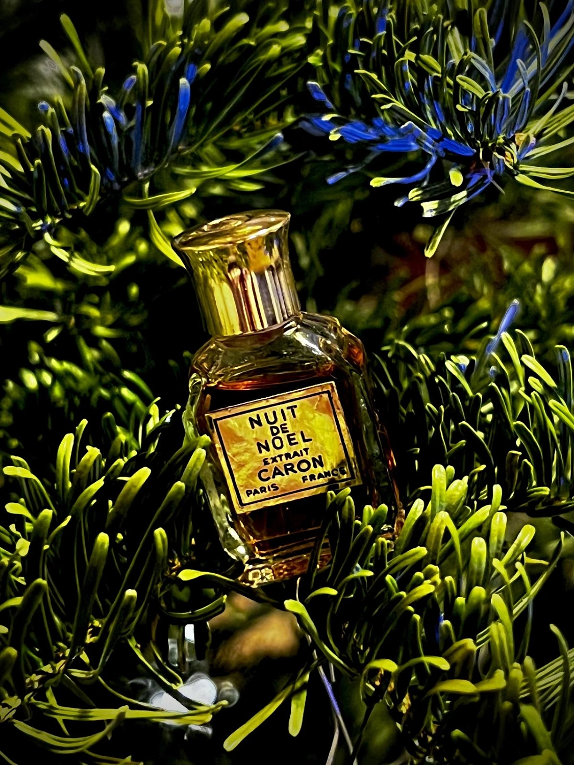 Caron Nuit de Noel Caron Nuit de Noel