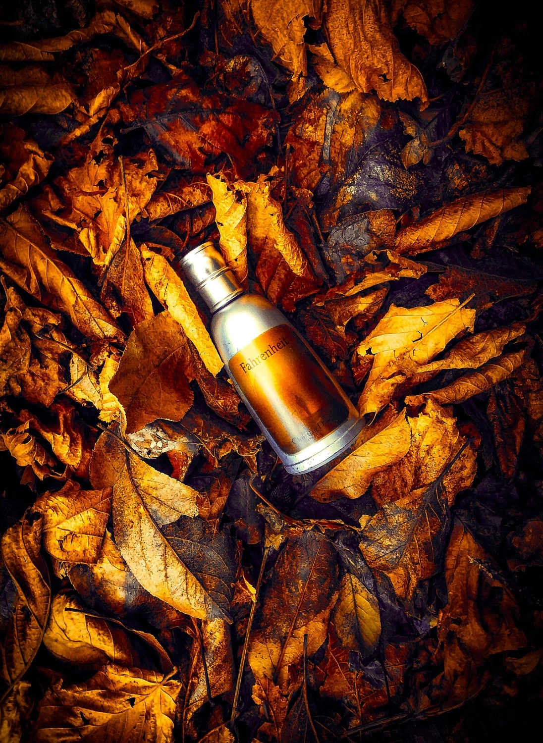 Christian Dior Fahrenheit