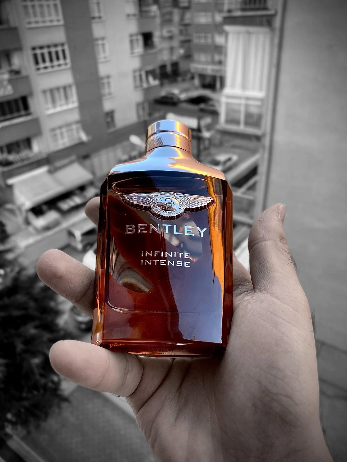 Bentley Infinite Intense