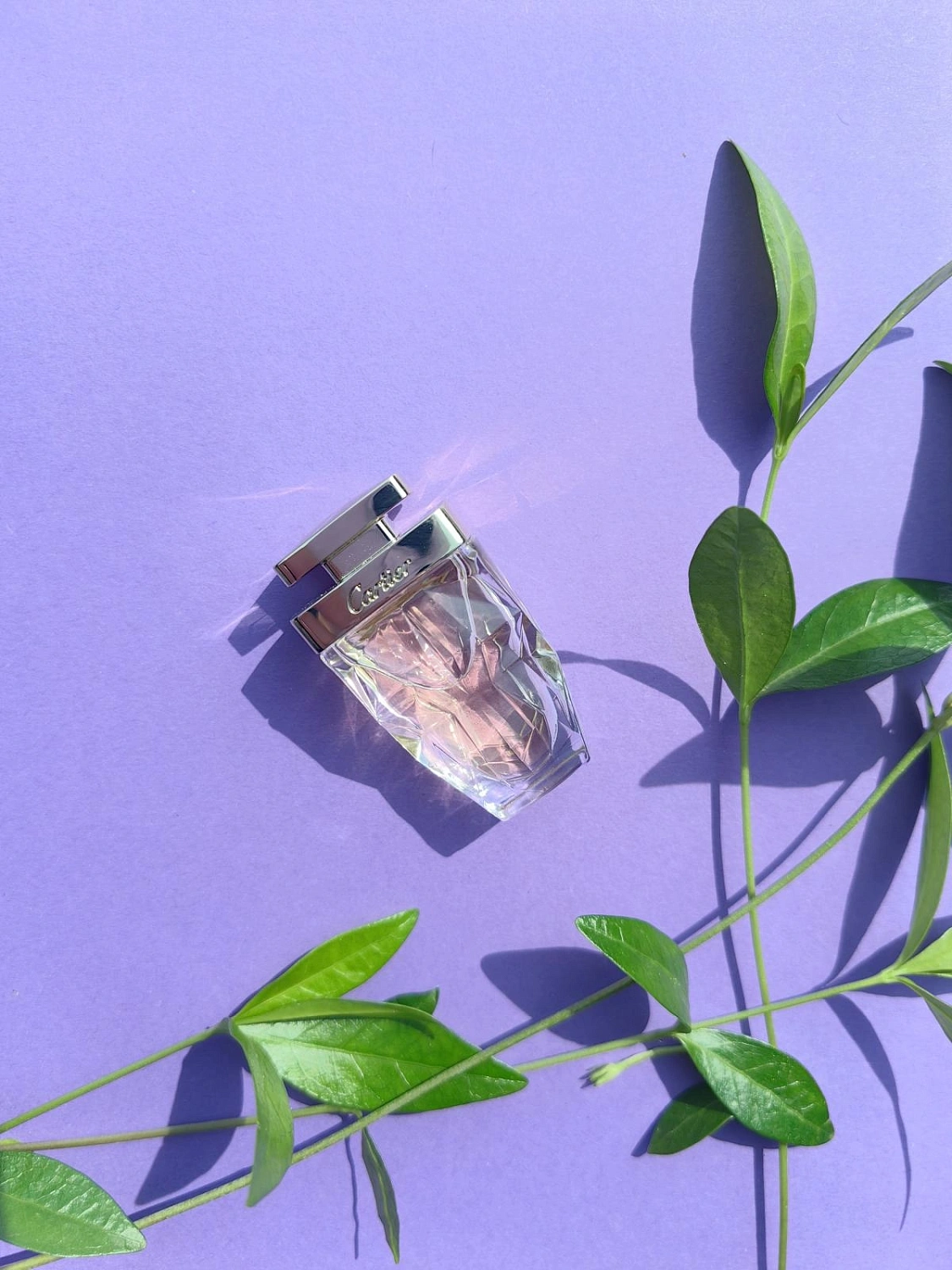 Cartier La Panthere Eau de Parfum Edition Limited 2021 Cartier La Panthere Eau de Parfum Edition Limited 2021
