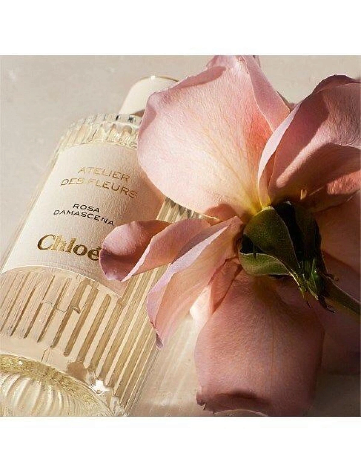 Chloé Atelier Des Fleurs Rosa Damascena