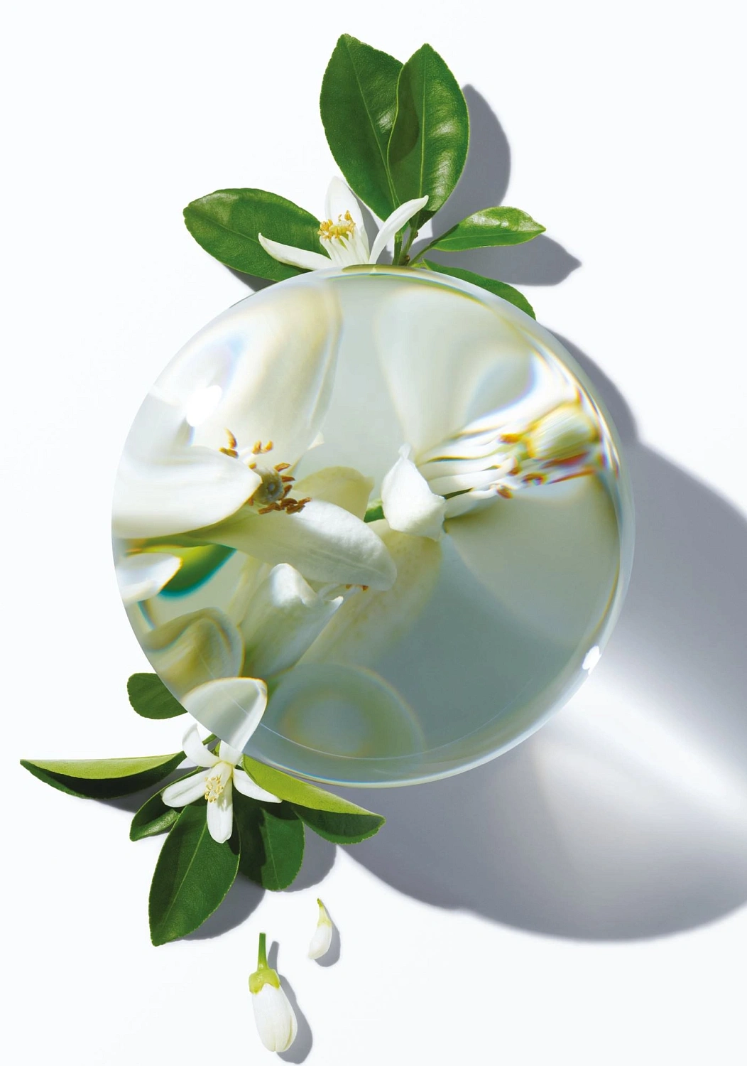 CAROLINA HERRERA Blossom Elixir