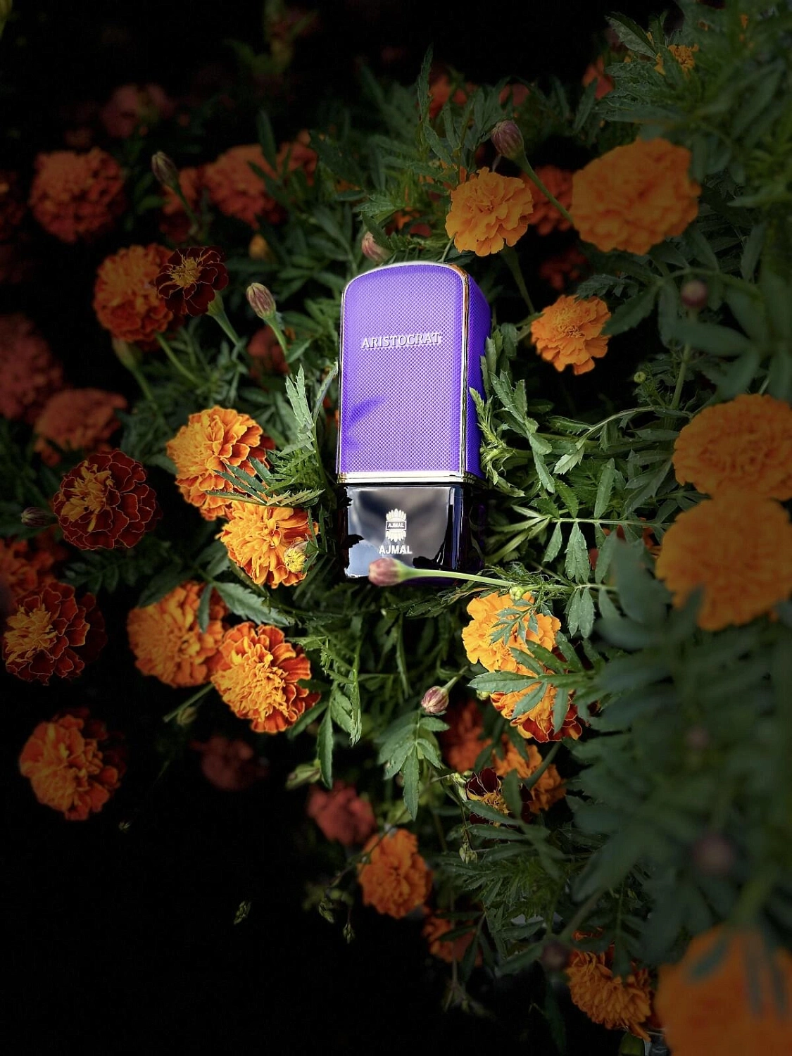 Ajmal Aristocrat for Her