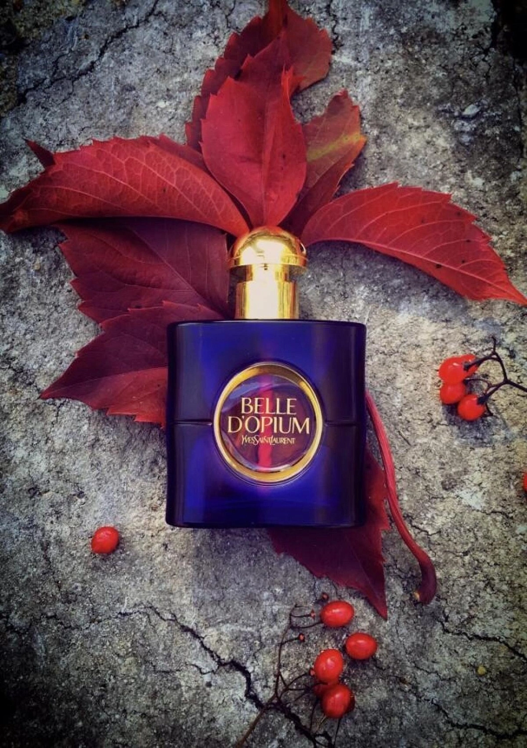 Yves Saint Laurent Belle d`Opium