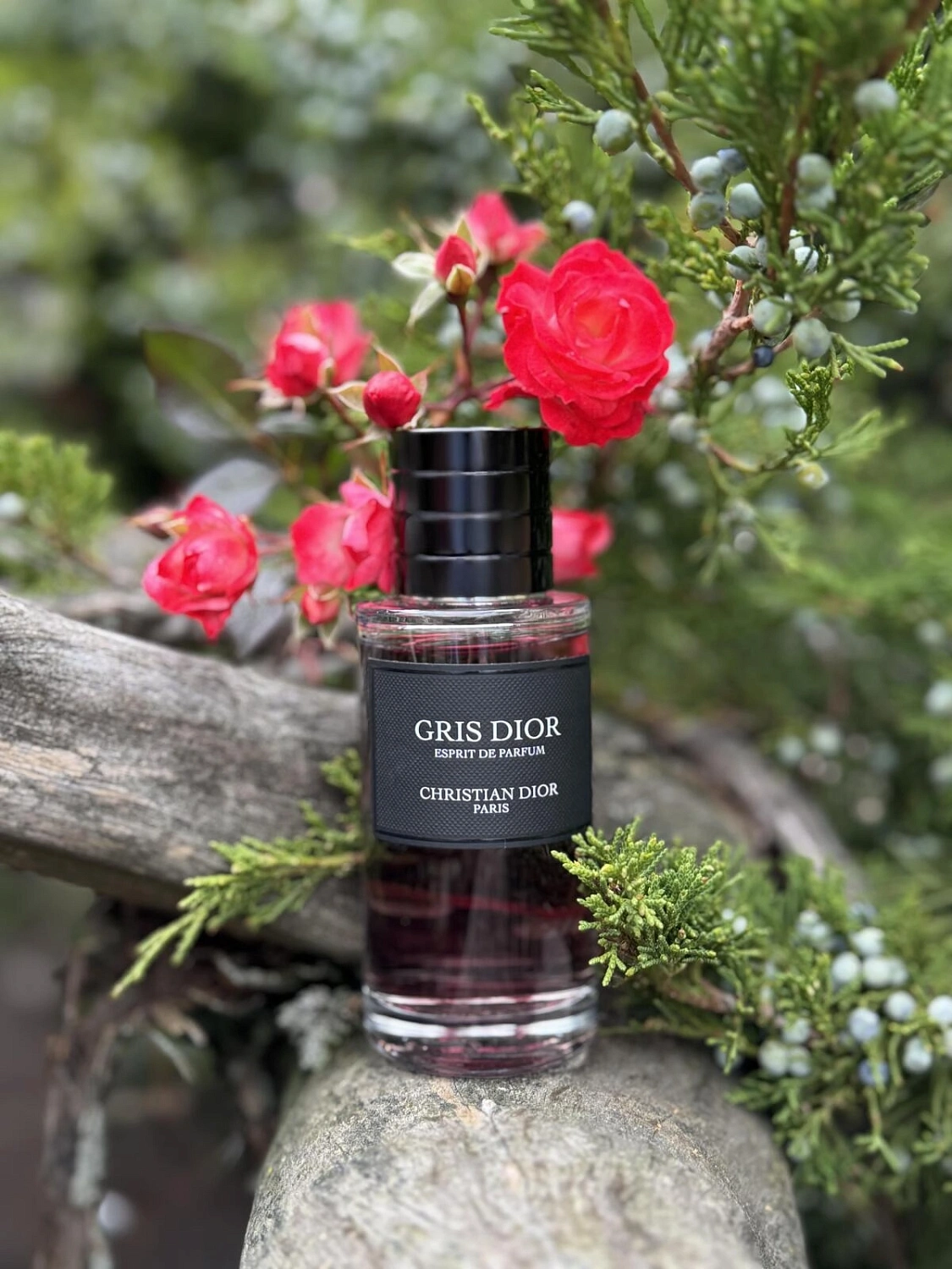 Christian Dior Gris Dior Esprit De Parfum