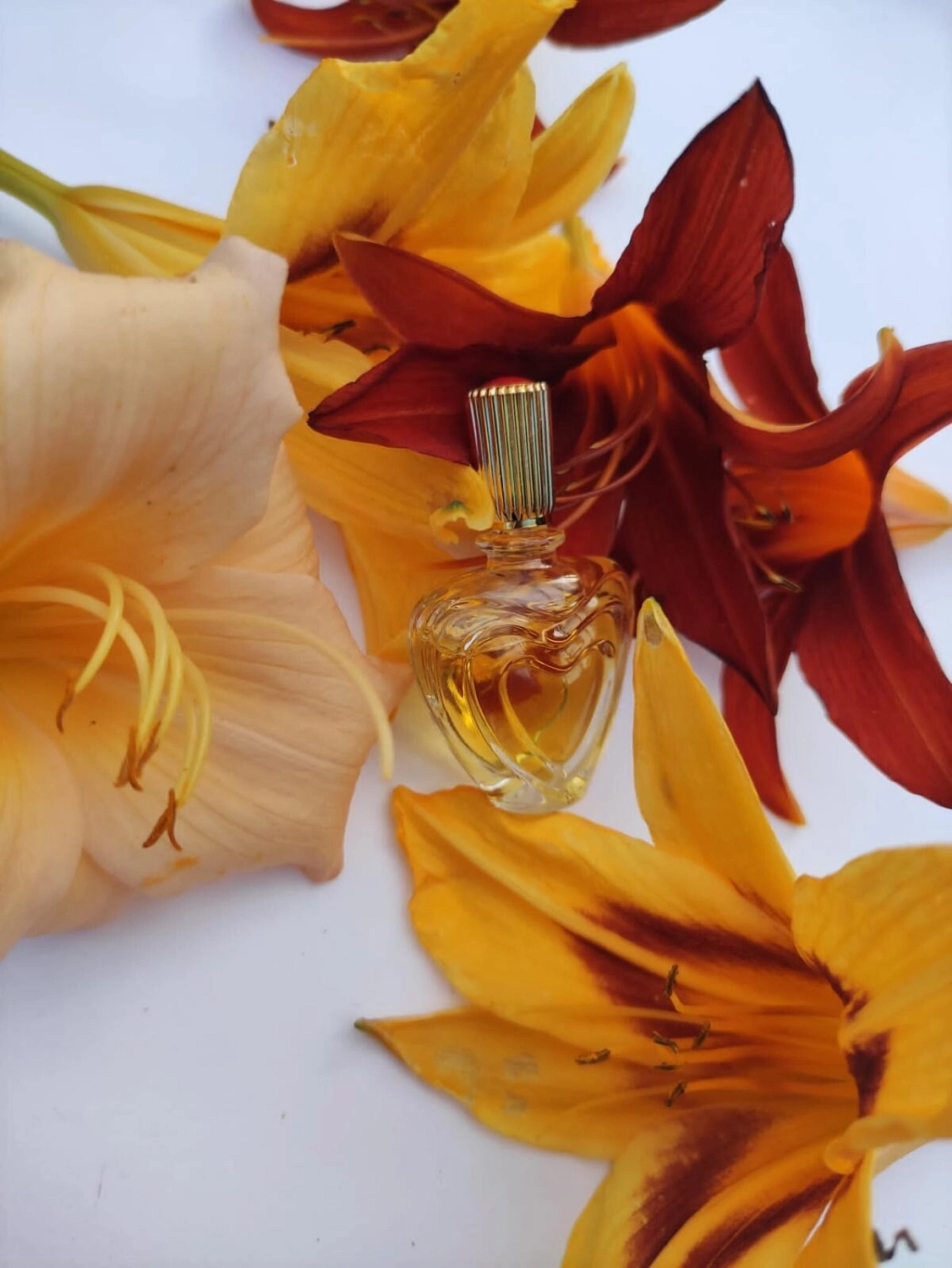 Escada Margaretha Ley