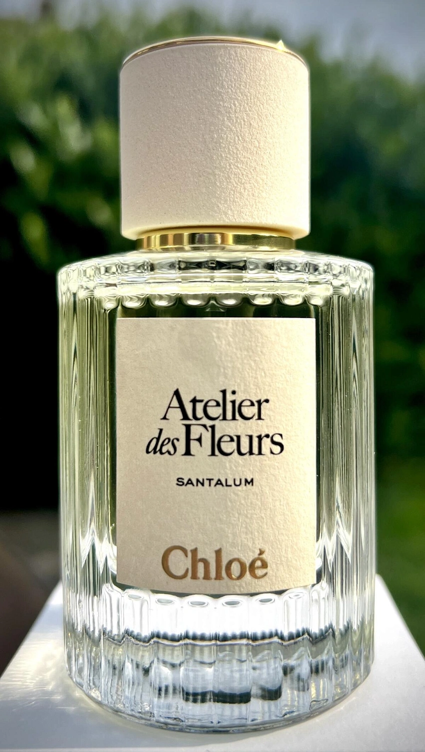 Chloe Santalum Chloe Santalum