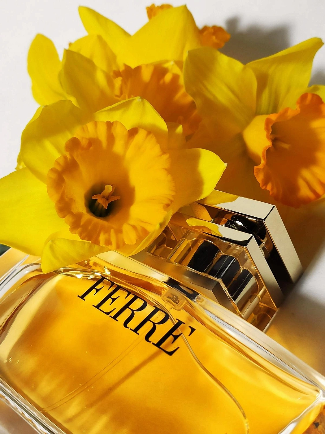 GF Ferre Ferre Eau de Parfum GF Ferre Ferre Eau de Parfum