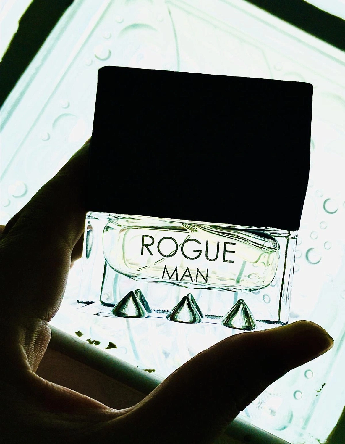 Rihanna Rogue Man