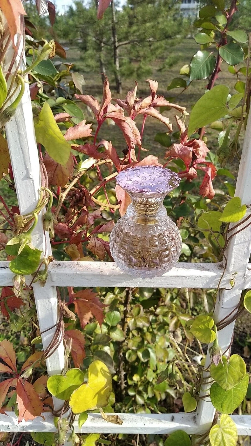 Marina de Bourbon Cristal Royal Rose