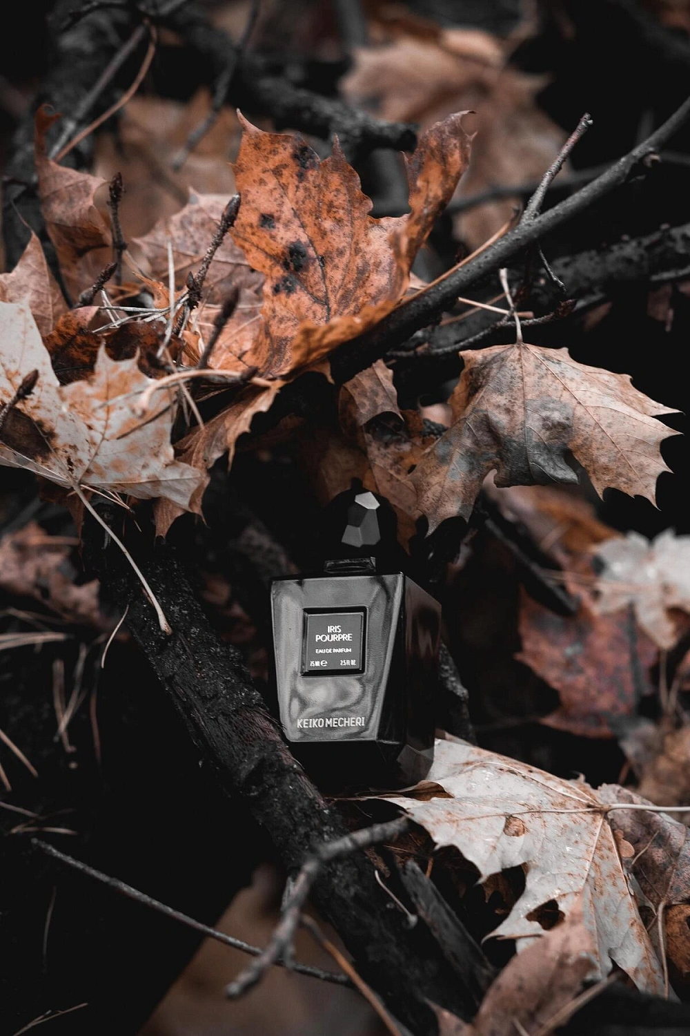 Keiko Mecheri Iris Poupre