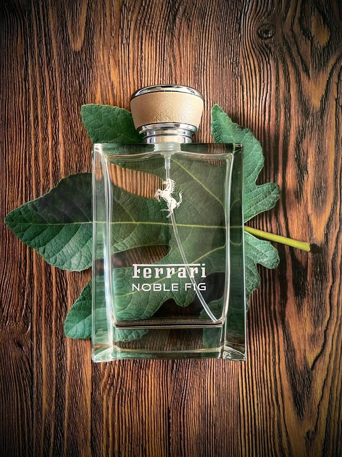 Ferrari Noble Fig