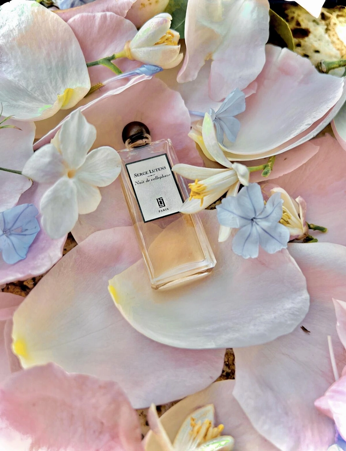 Serge Lutens Nuit de Cellophane