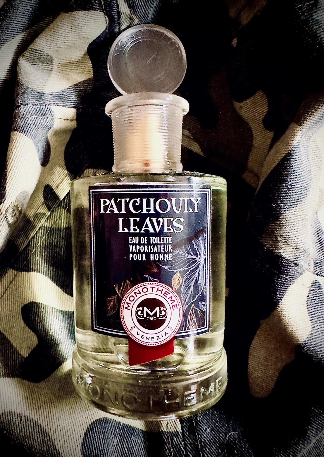 Monotheme Fine Fragrances Venezia Patchouli Leaves