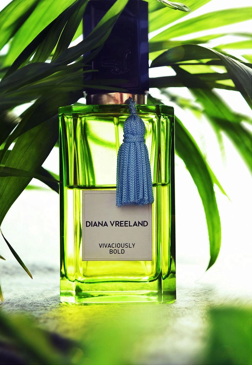 Diana Vreeland Vivaciously Bold