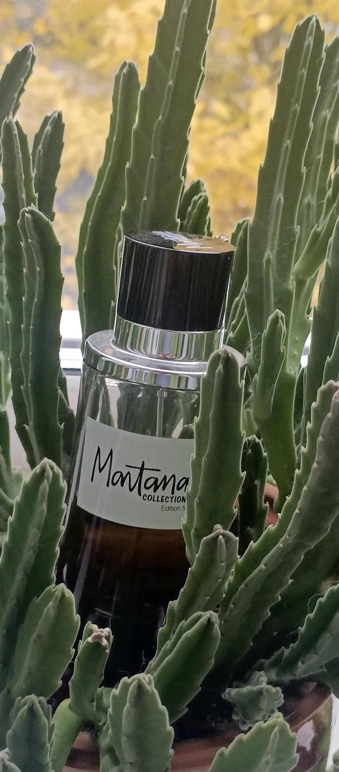 Tiziana Terenzi Ursa