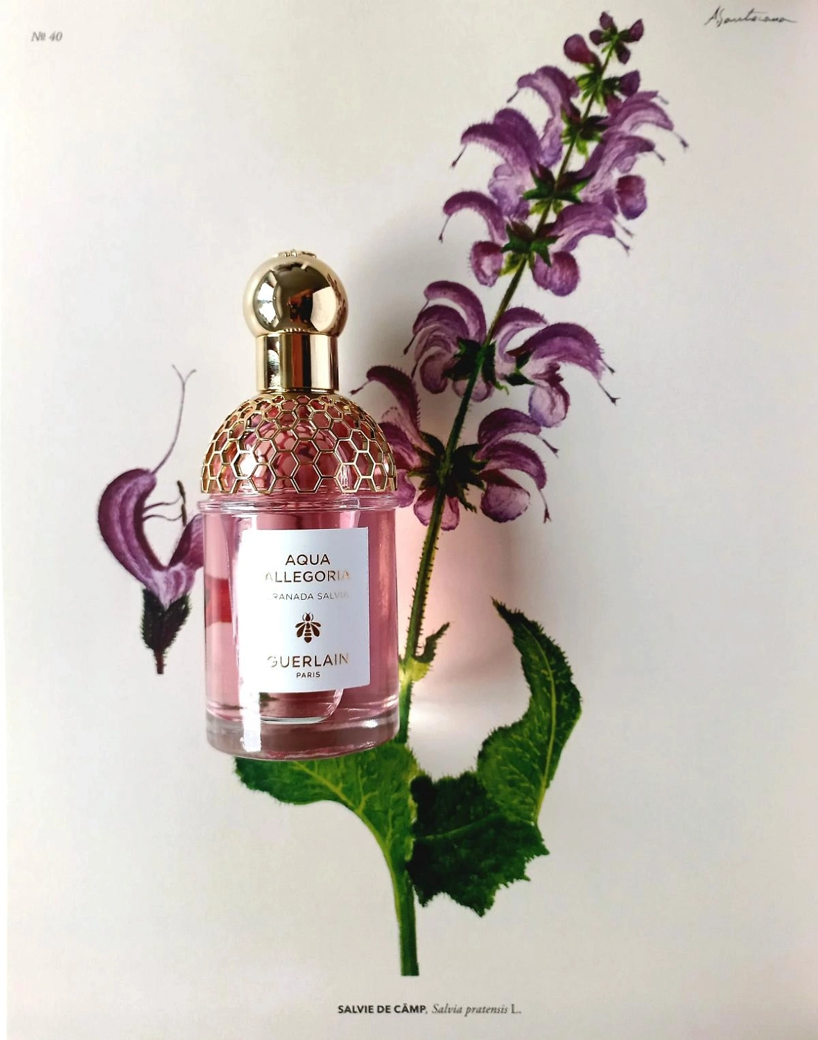 Guerlain Aqua Allegoria Granada Salvia Guerlain Aqua Allegoria Granada Salvia