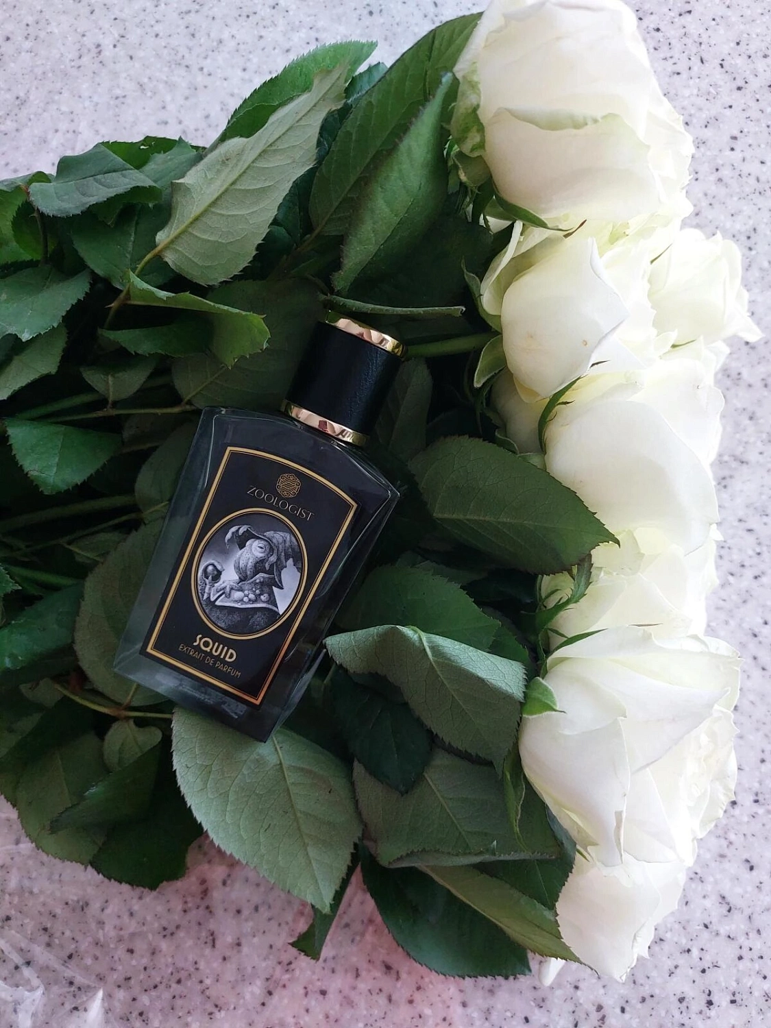 Zoologist Perfumes Squid