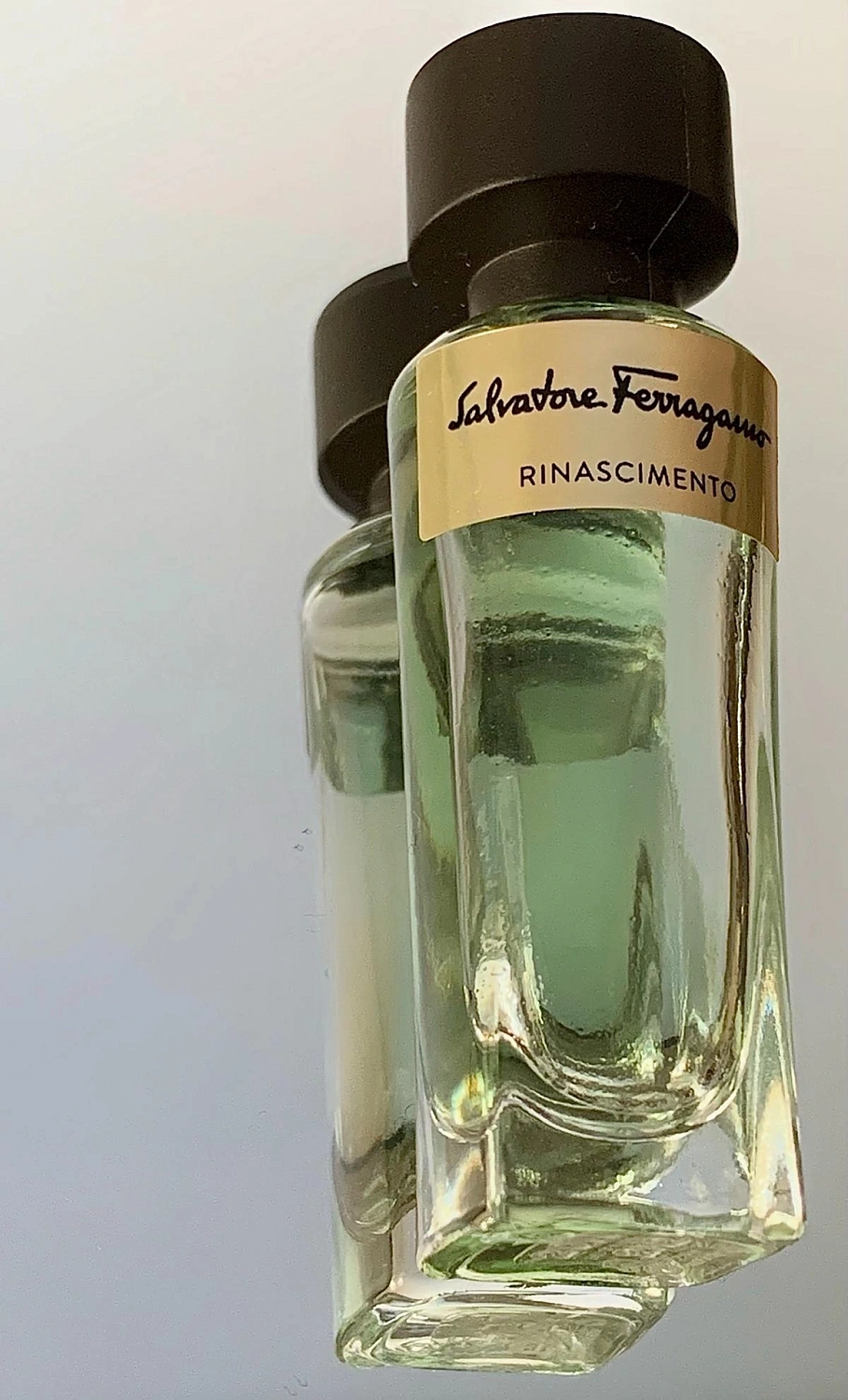 Salvatore Ferragamo Rinascimento