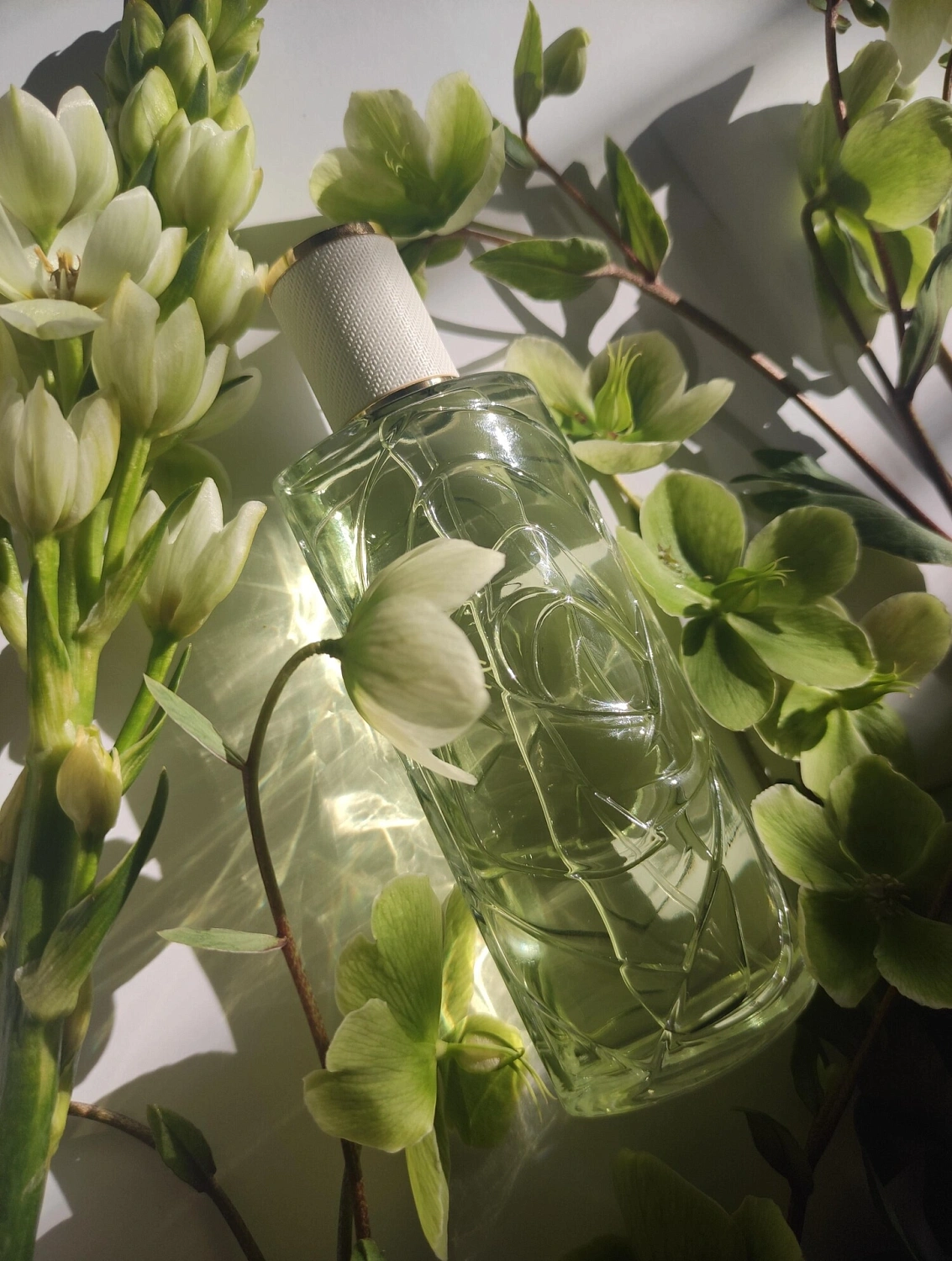 Lancôme Off Now