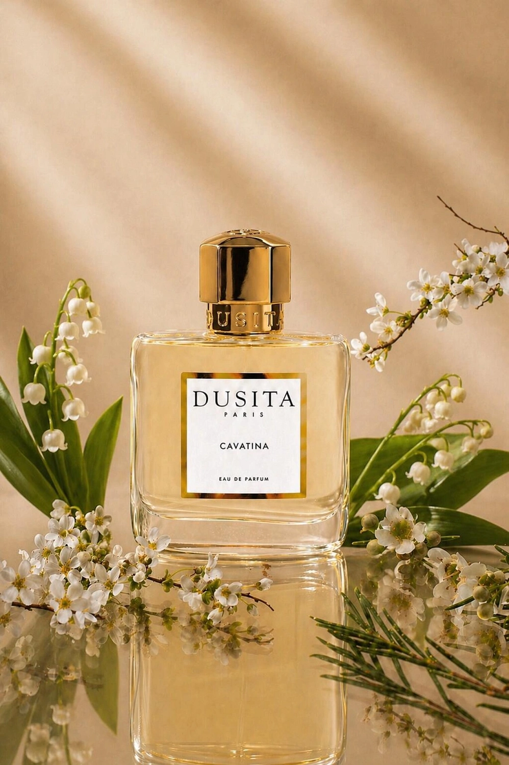 Dusita Cavatina
