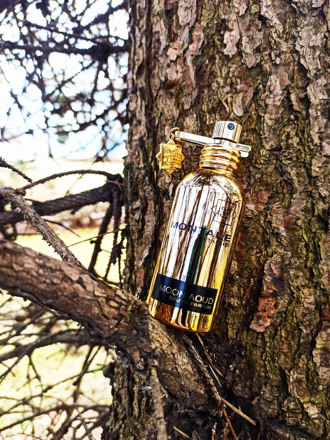 MONTALE Aoud Moon MONTALE Aoud Moon