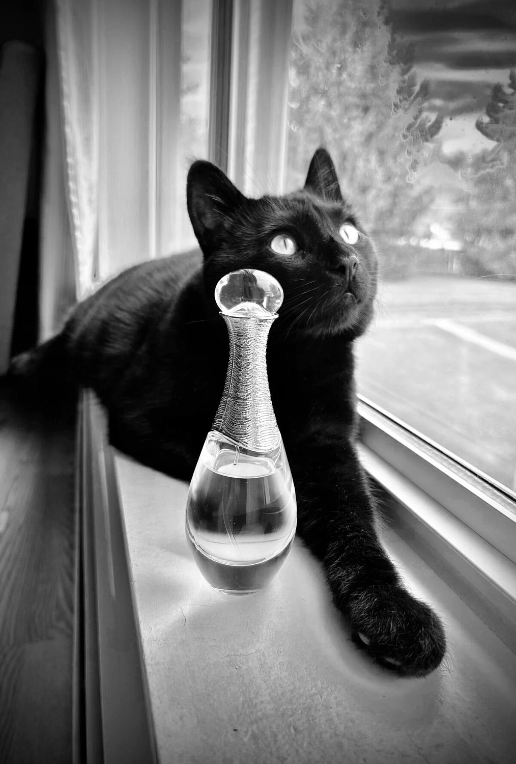 Christian Dior J’Adore