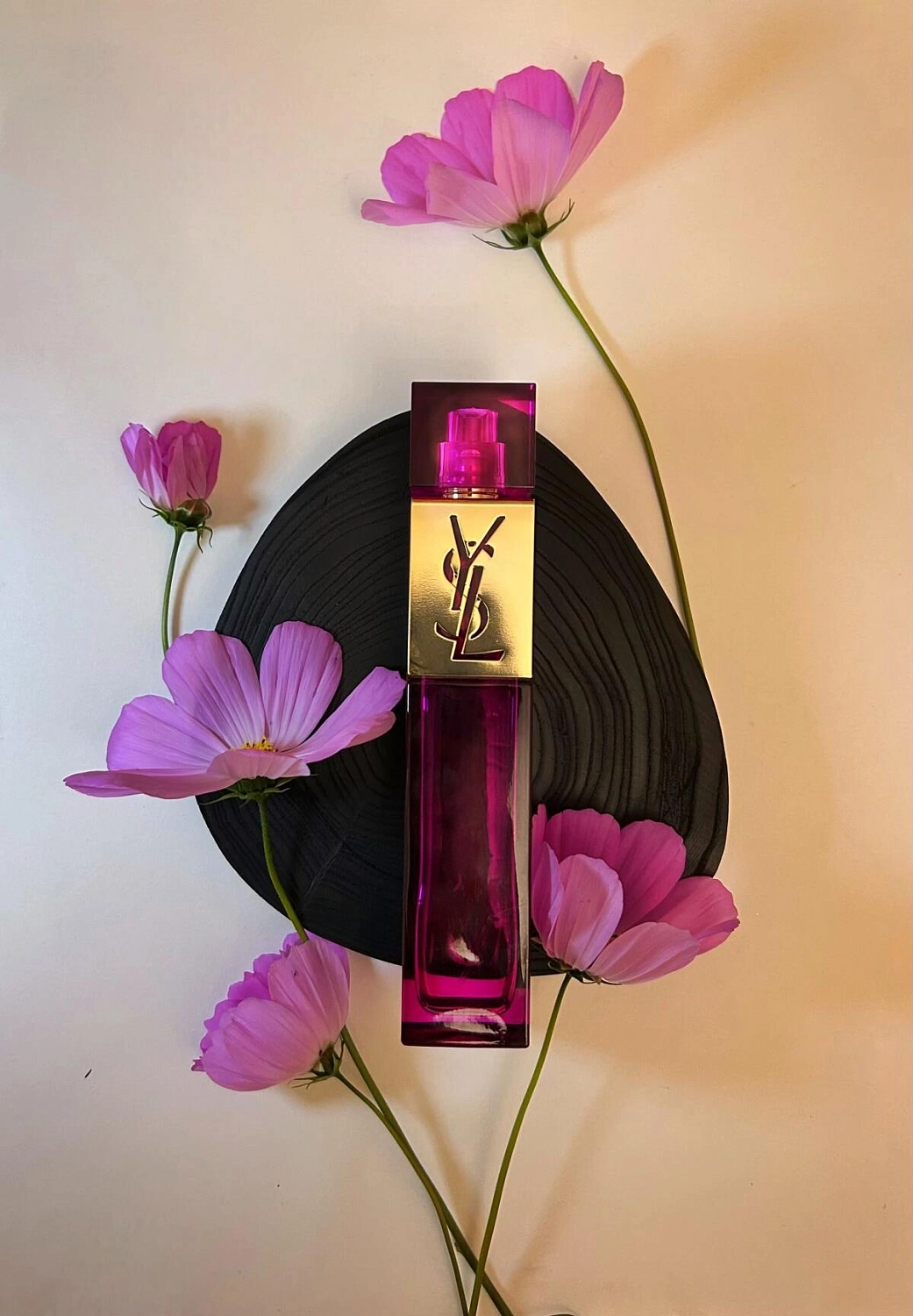 Yves Saint Laurent Elle