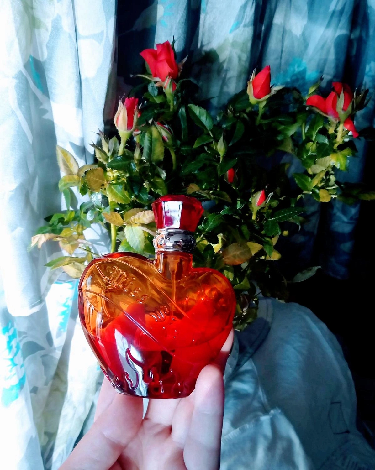 Miss Sixty Rock Muse