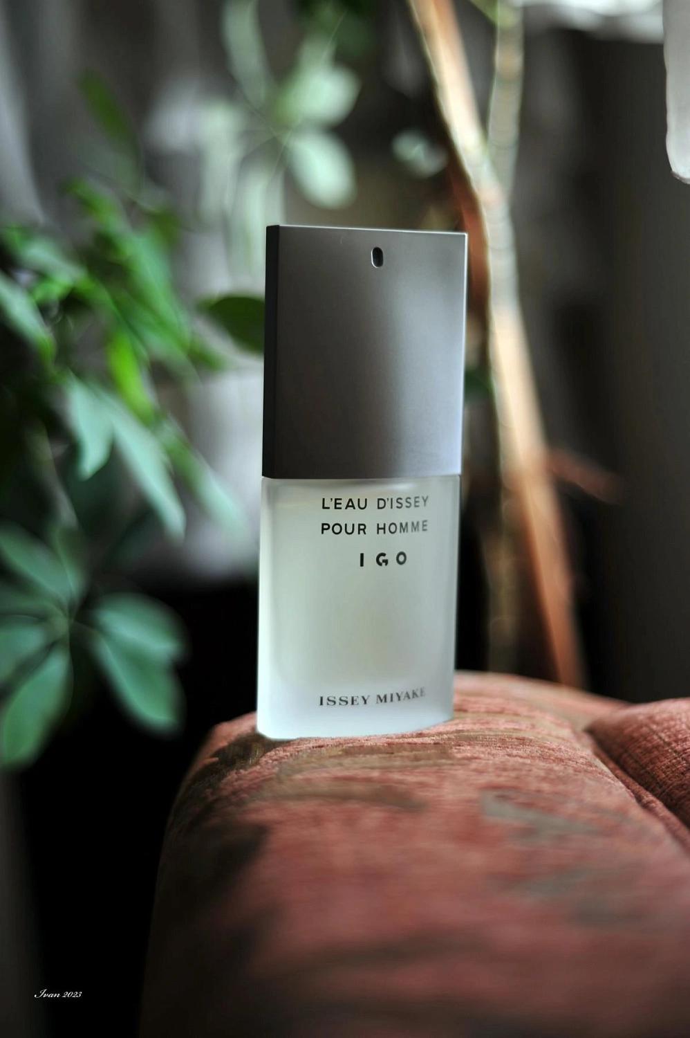 Issey Miyake L'eau d'Issey pour Homme
