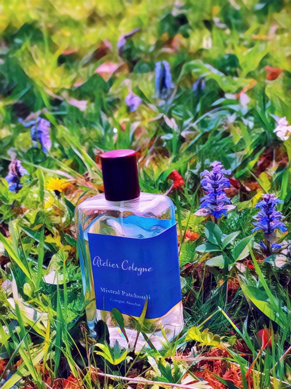 Atelier Cologne Mistral Patchouli Atelier Cologne Mistral Patchouli