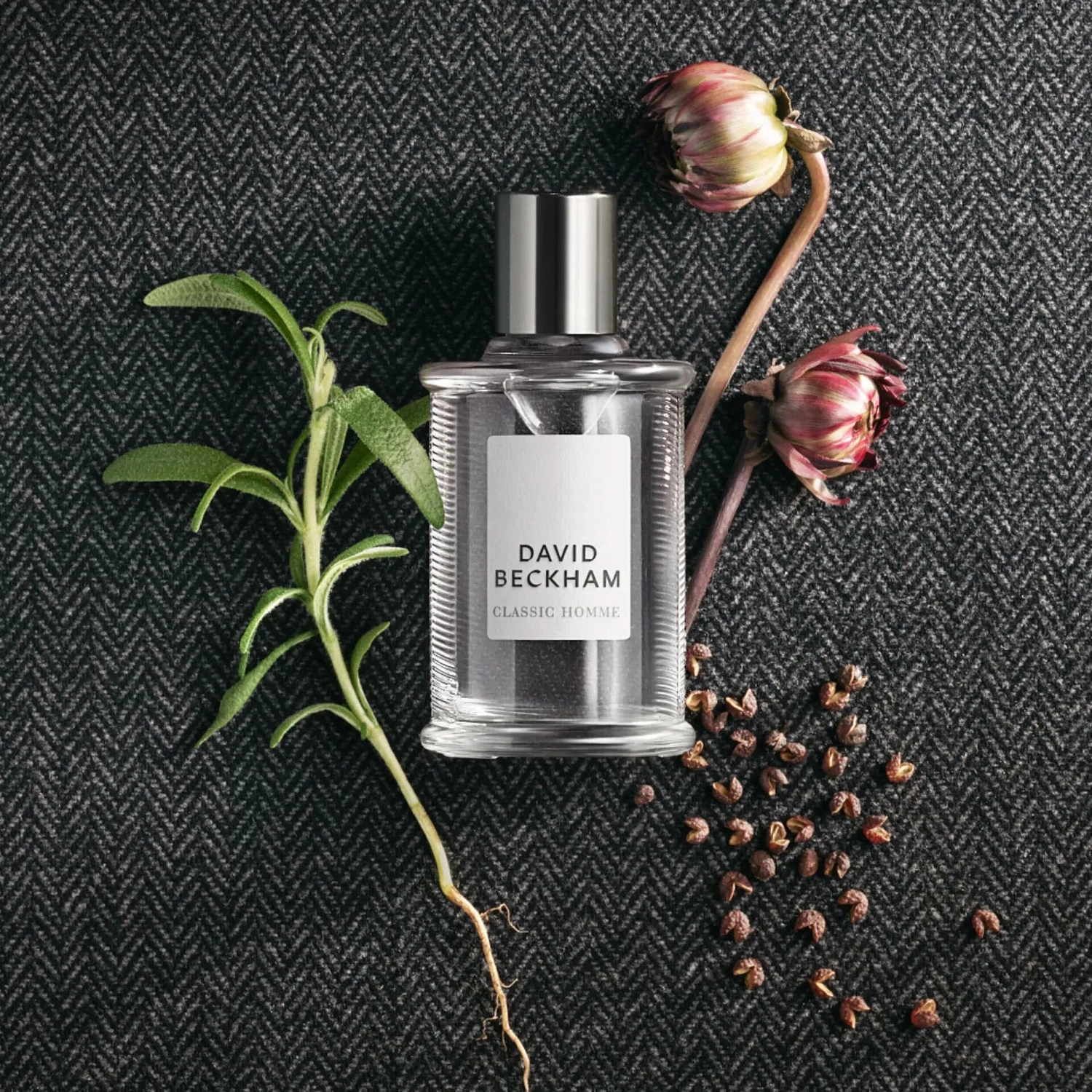 David Beckham Classic Homme