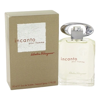 Salvatore Ferragamo Incanto pour Homme туалетная вода, 50 мл Salvatore Ferragamo Incanto pour Homme туалетная вода, 50 мл