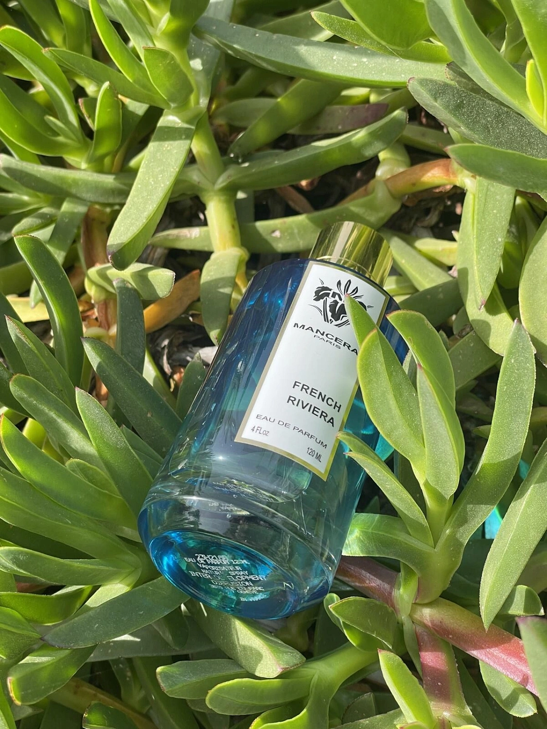 Mancera French Riviera