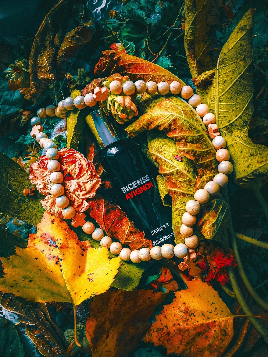 Comme des Garcons Series 3: Avignon