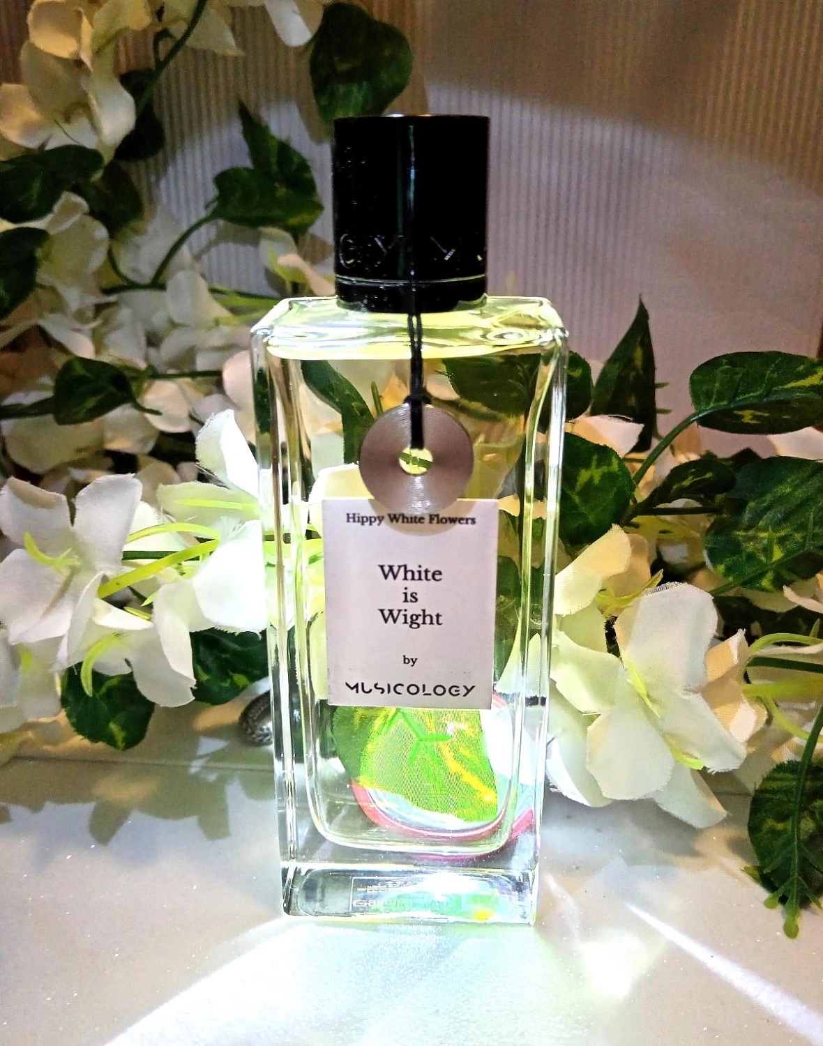 Musicology White Is Wight