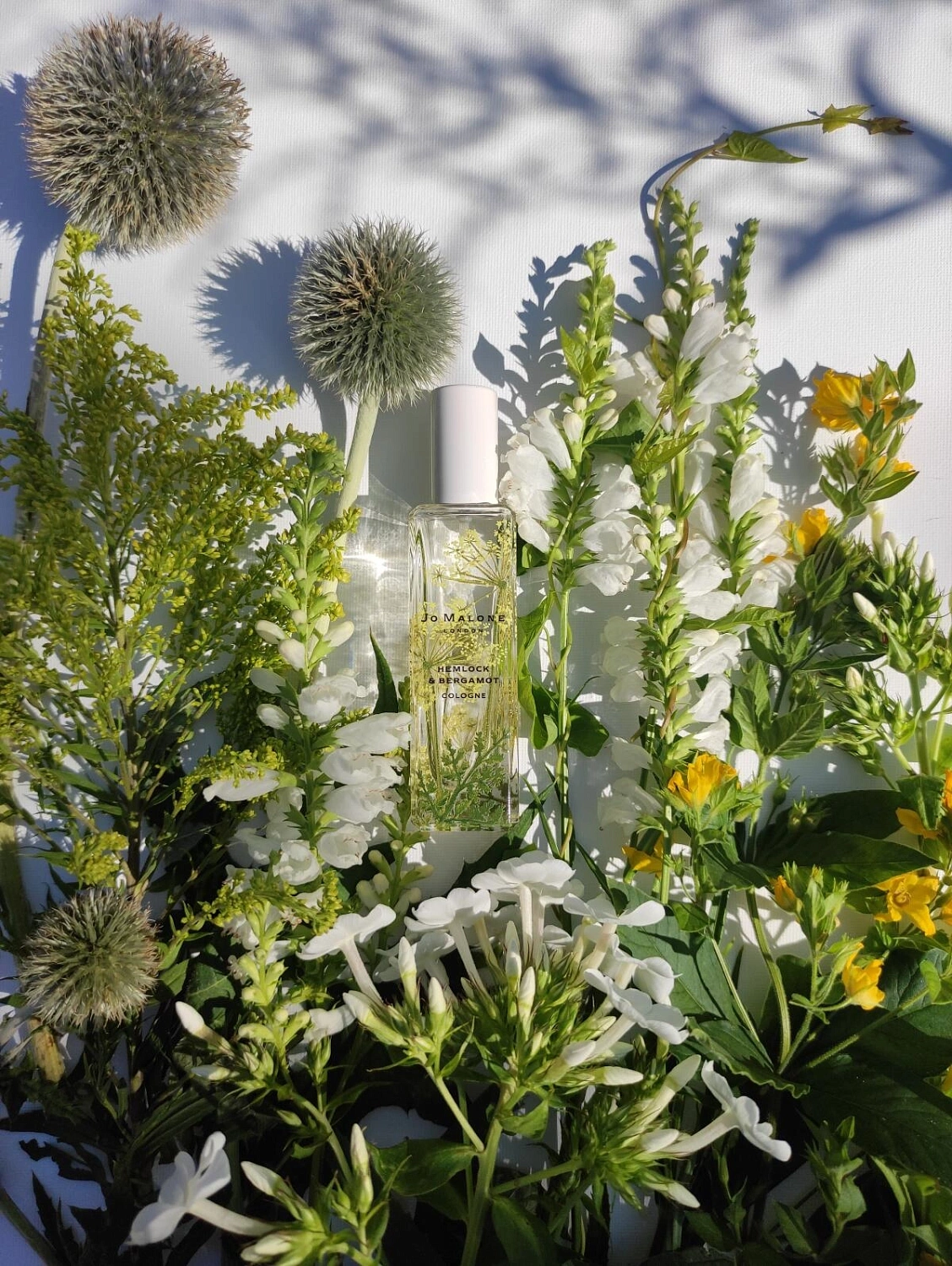 Jo Malone Hemlock & Bergamot