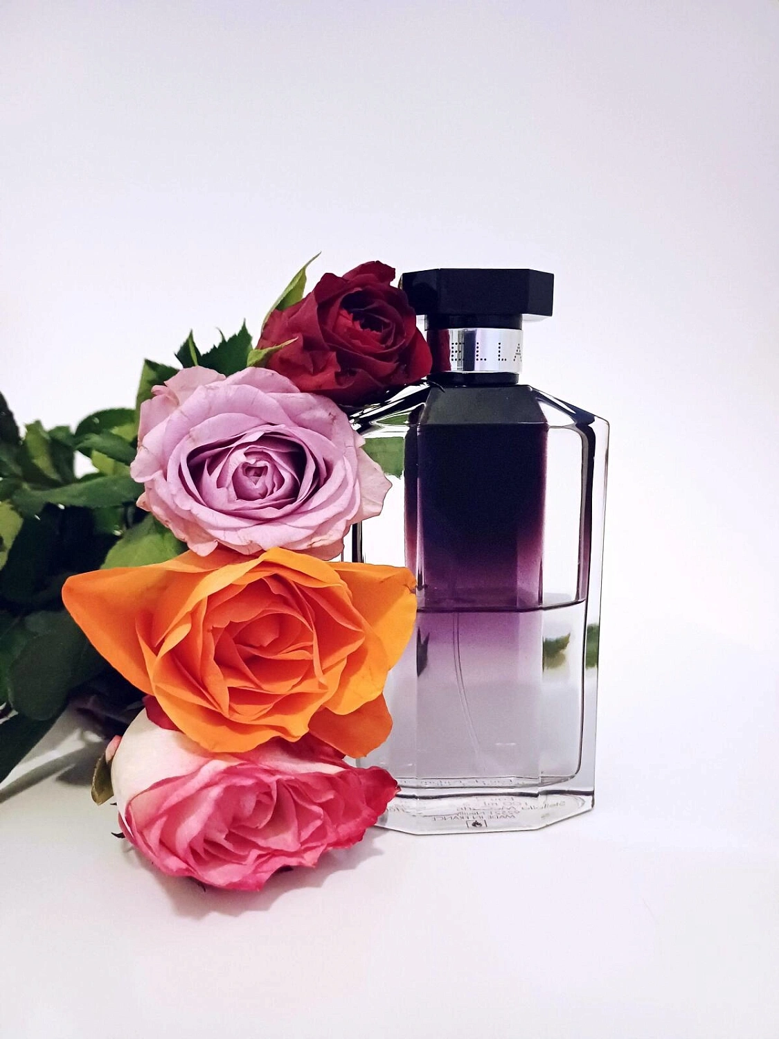 Stella McCartney Stella