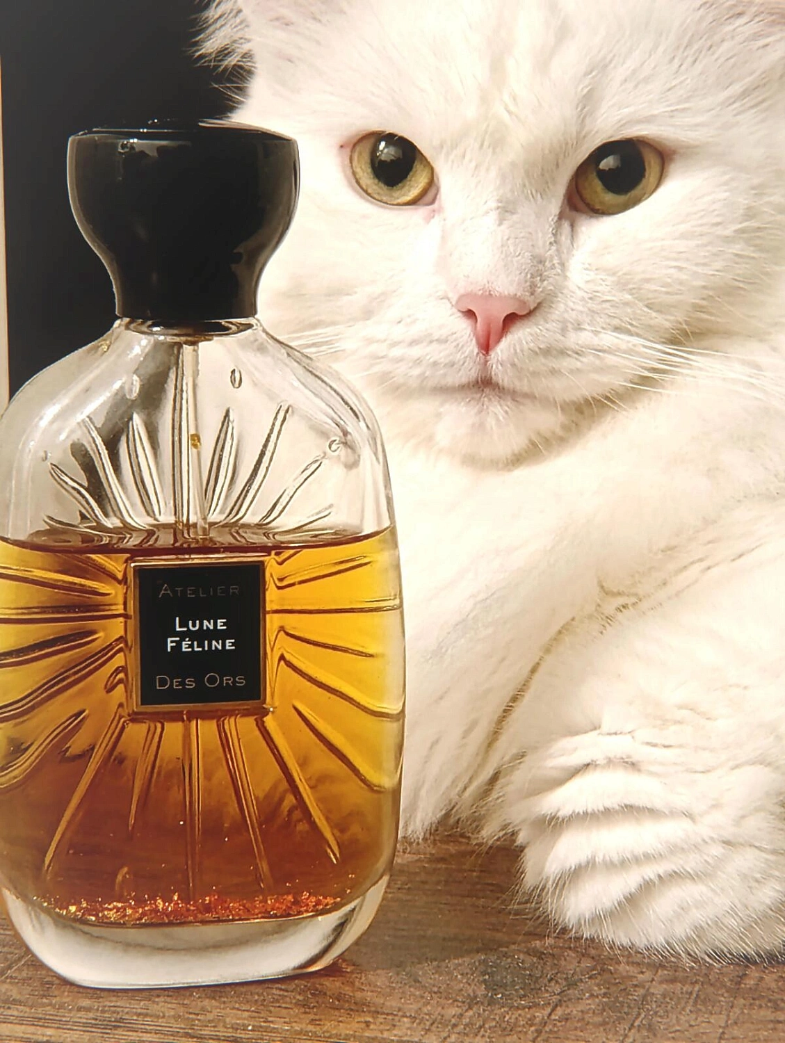 Atelier des Ors Lune Feline