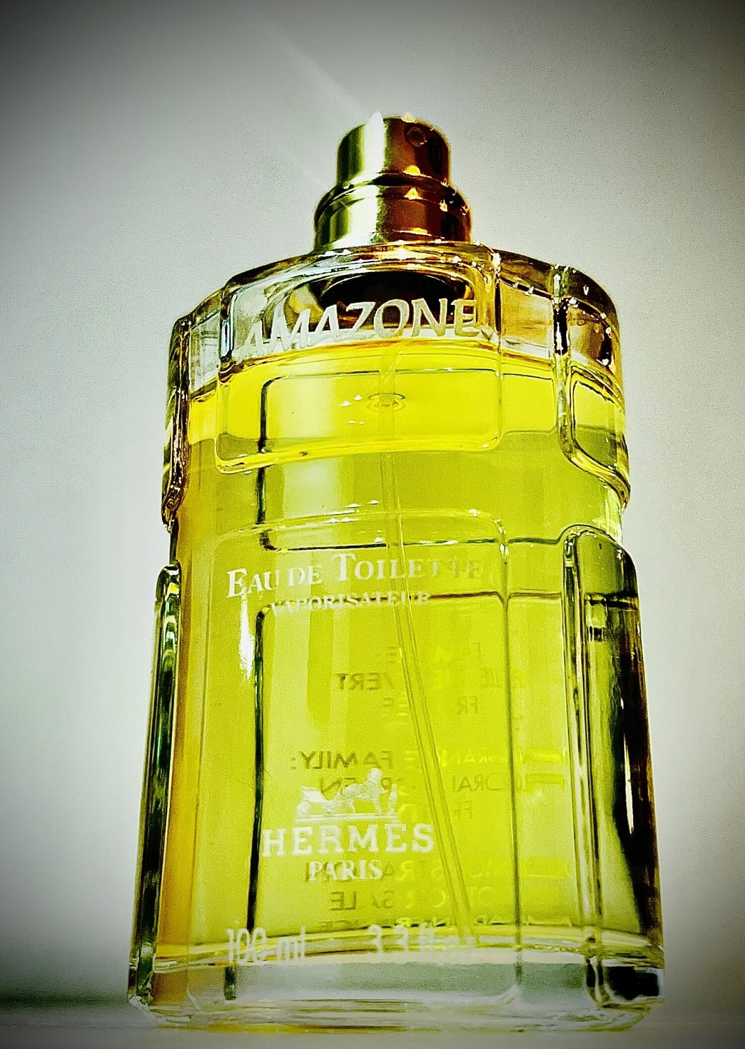 Hermès Amazone