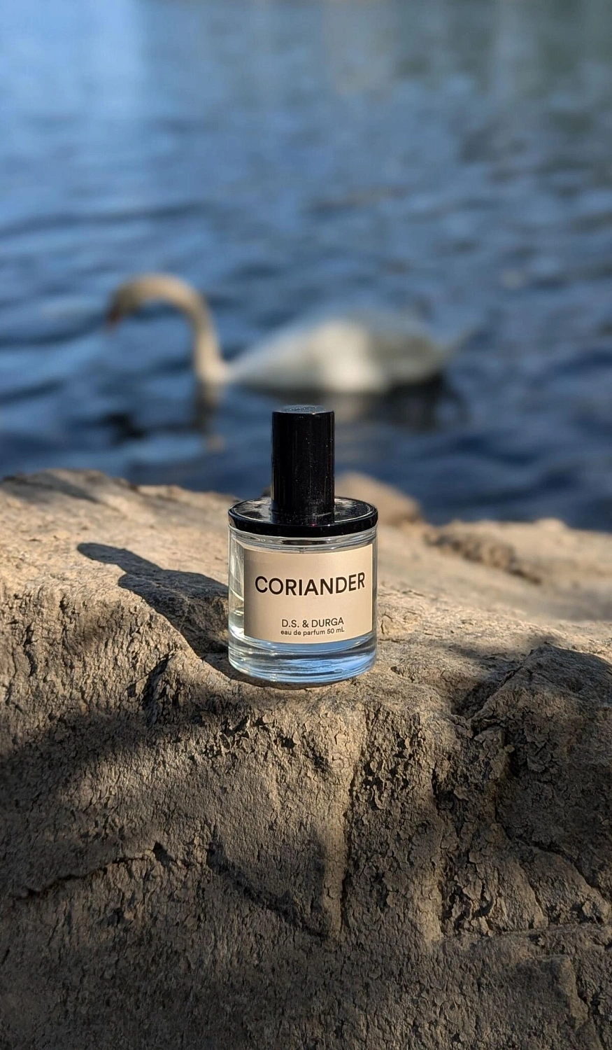 D.S. & Durga Coriander