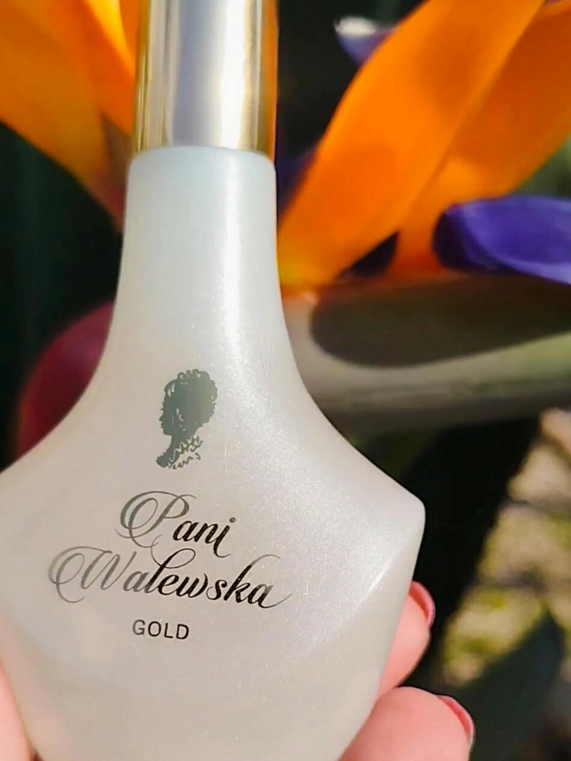 Pani Walewska Gold