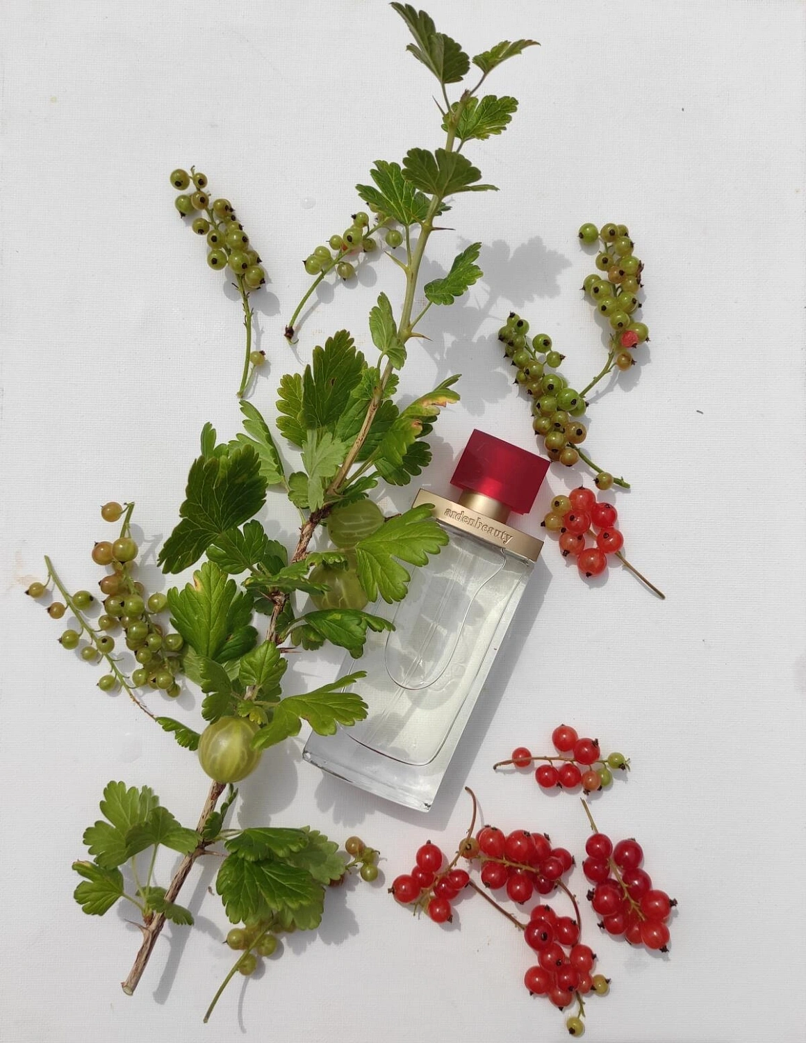 Elizabeth Arden Arden Beauty